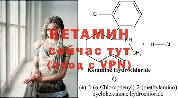 прущие крисы Бородино