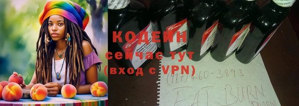 прущие крисы Бородино