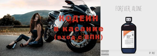 прущие крисы Бородино