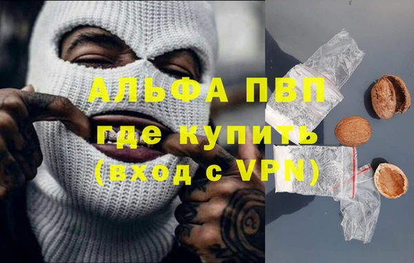 прущие крисы Бородино