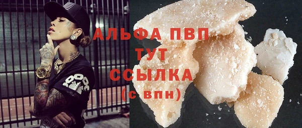 прущие крисы Бородино