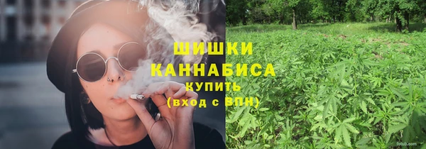 прущие крисы Бородино