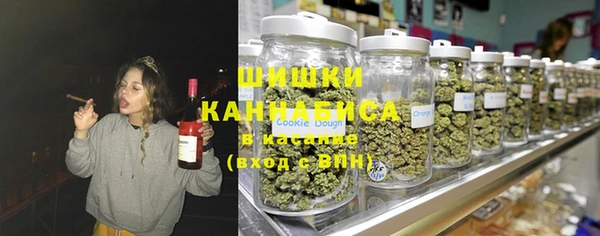 прущие крисы Бородино