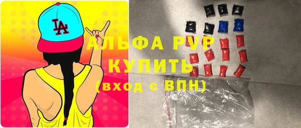 прущие крисы Бородино